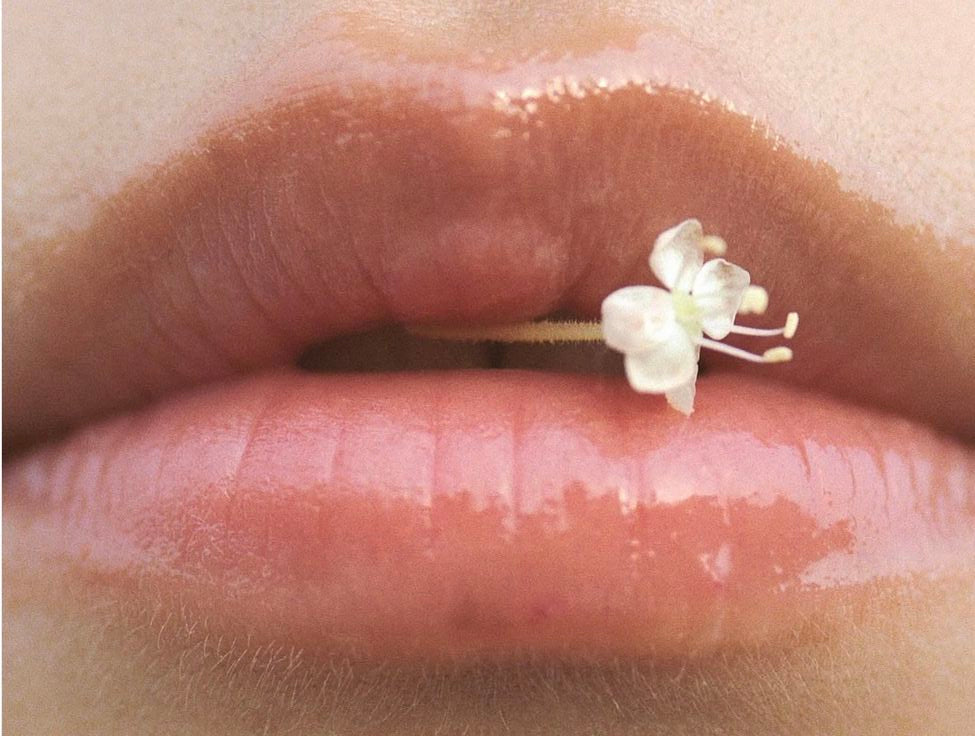 The Best Perfumes for Everyday Wear