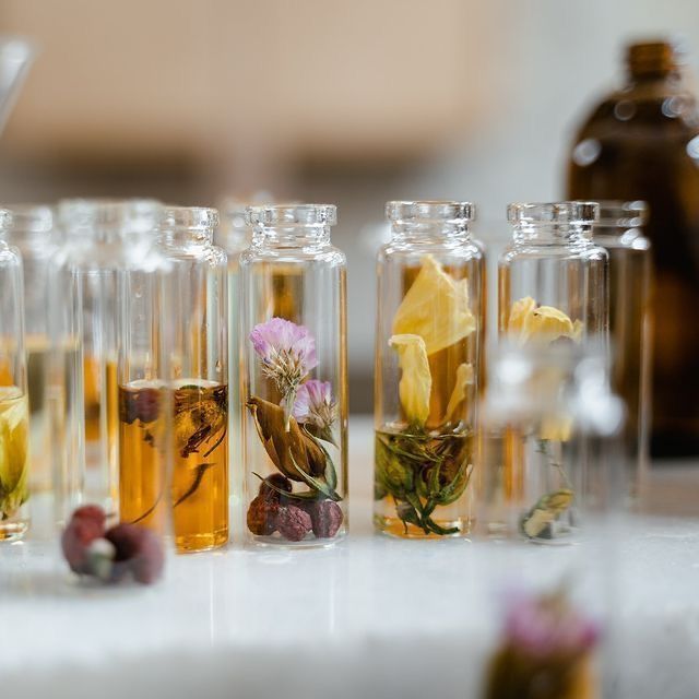 Floral, Woody, Musky, or Oud: Which Fragrance Family Is Right for You?