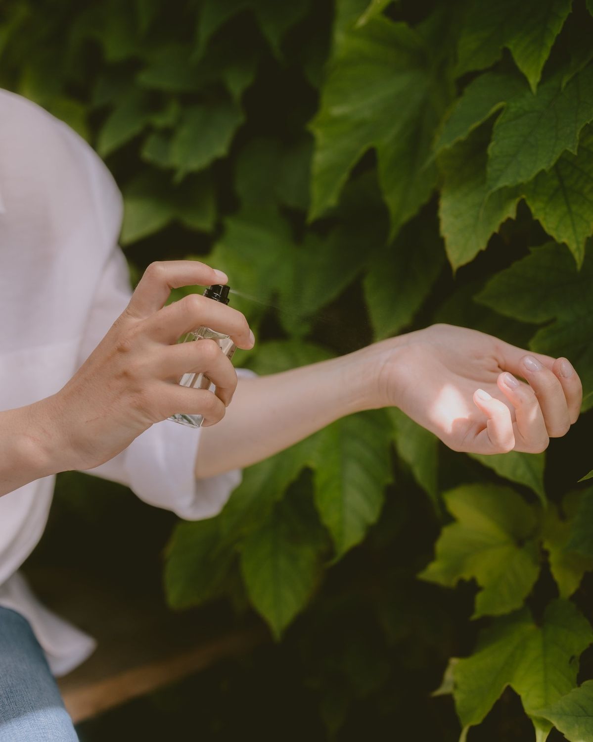 Day-to-Night Fragrances: How to Choose a Scent That Transitions Beautifully