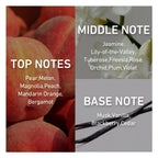 Floral fruity perfume notes including peach, jasmine, musk and vanilla