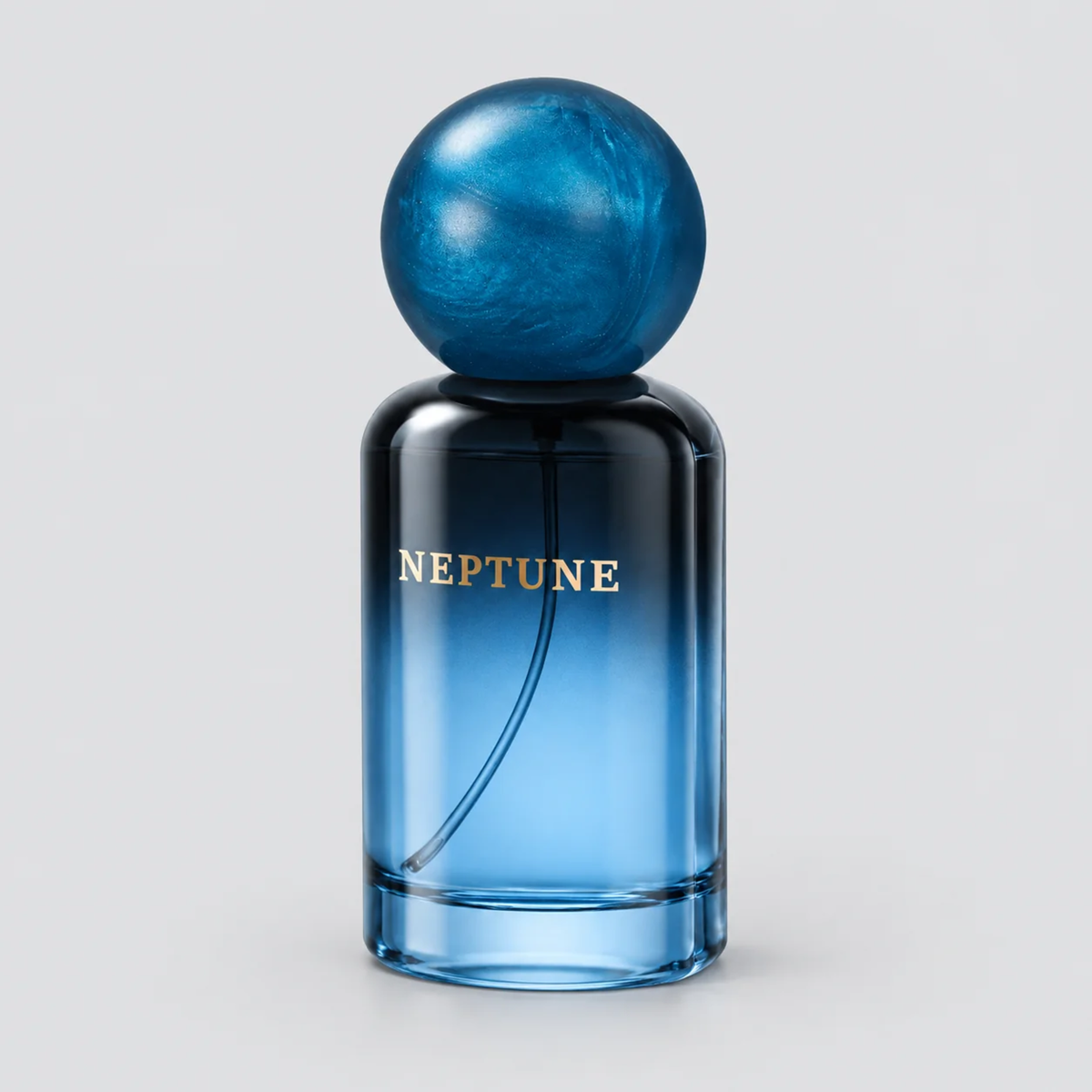 Maison Z Neptune