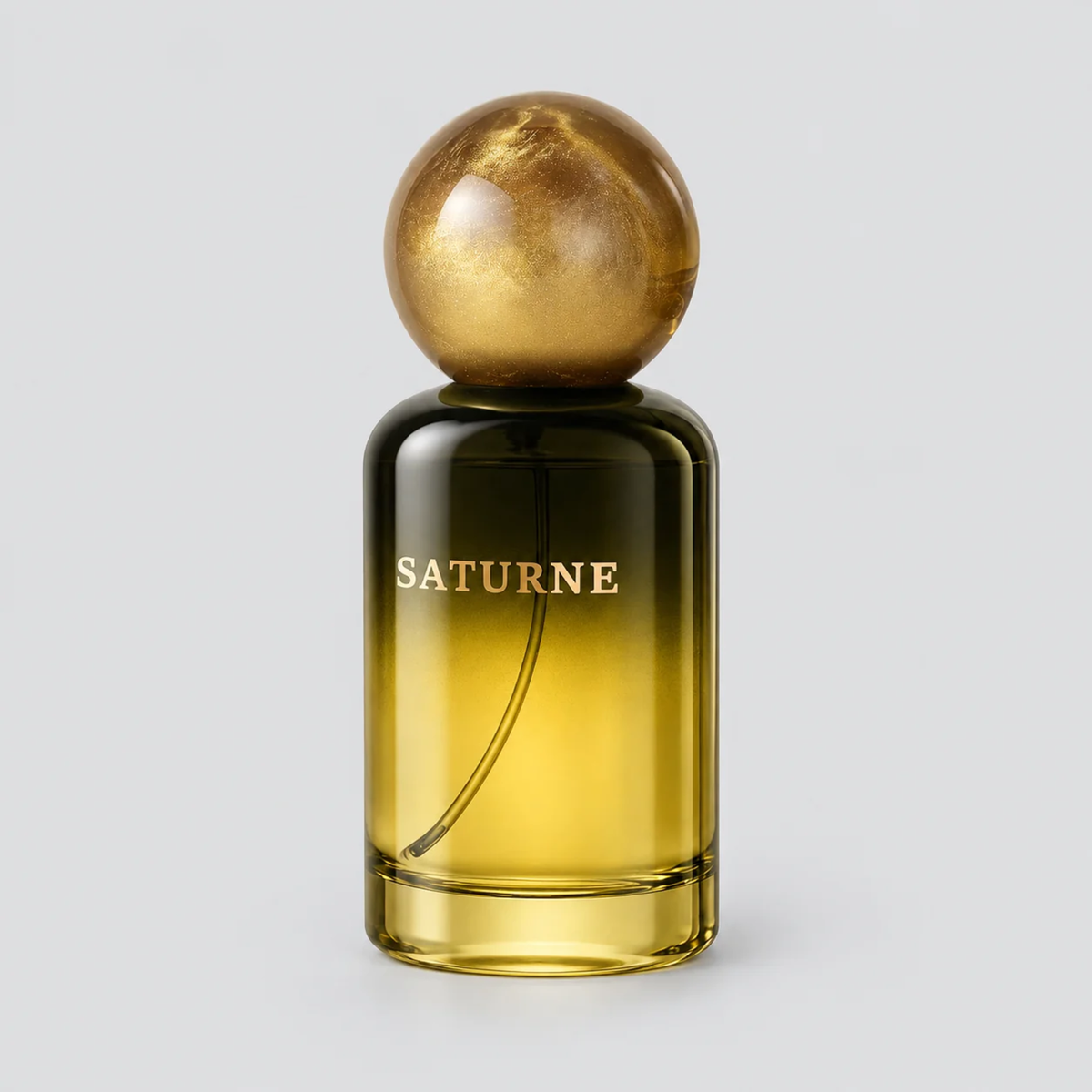Maison Z Saturne