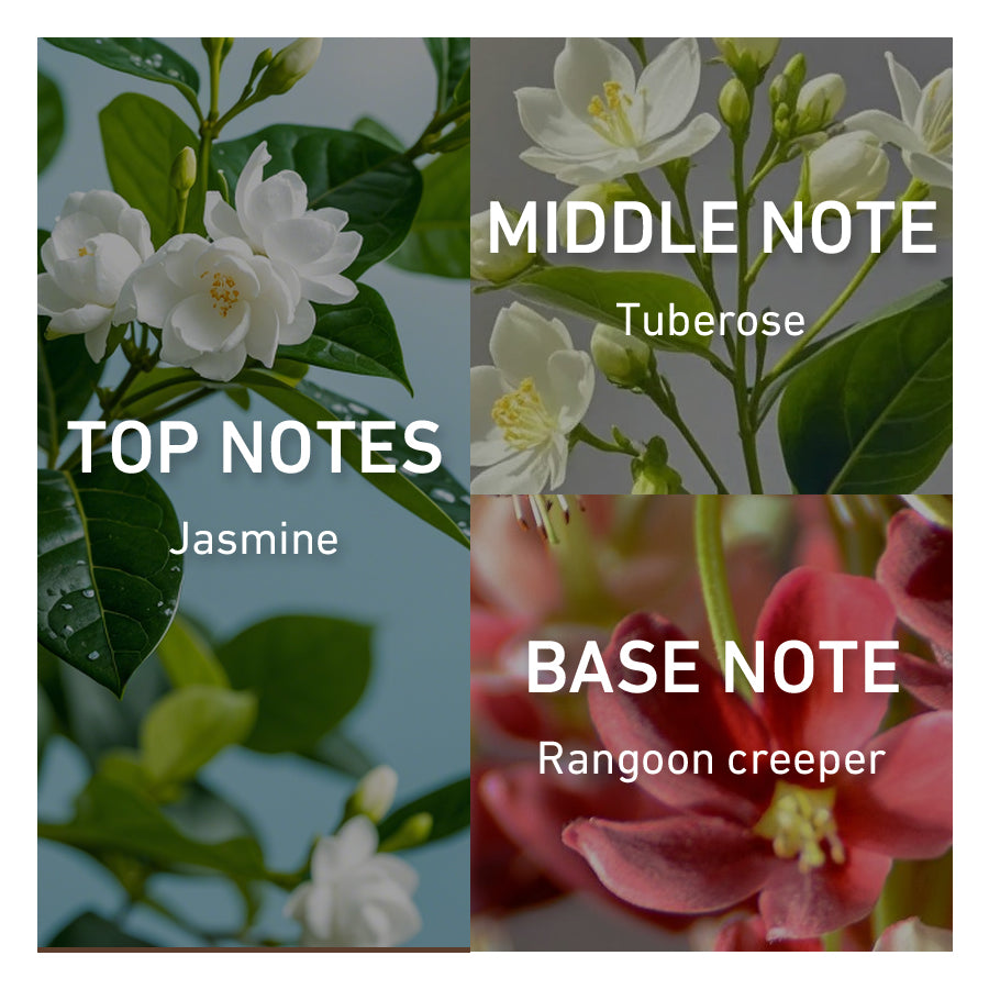 White floral perfume notes including jasmine, tuberose and rangoon creeper