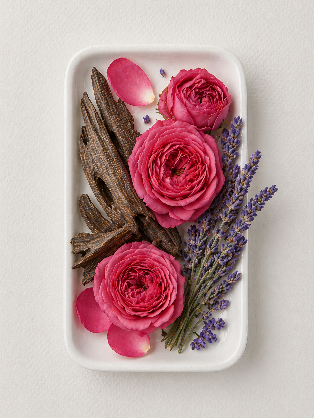 ZUOFUN Maison Z Empire Noir fragrance notes with Oriental Woody, Lavender, and Cinnamon