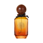 Terra gourmand perfume bottle with vanilla and praline notes, warm and cozy fragrance