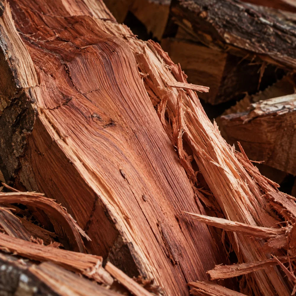 Cedar — base notes